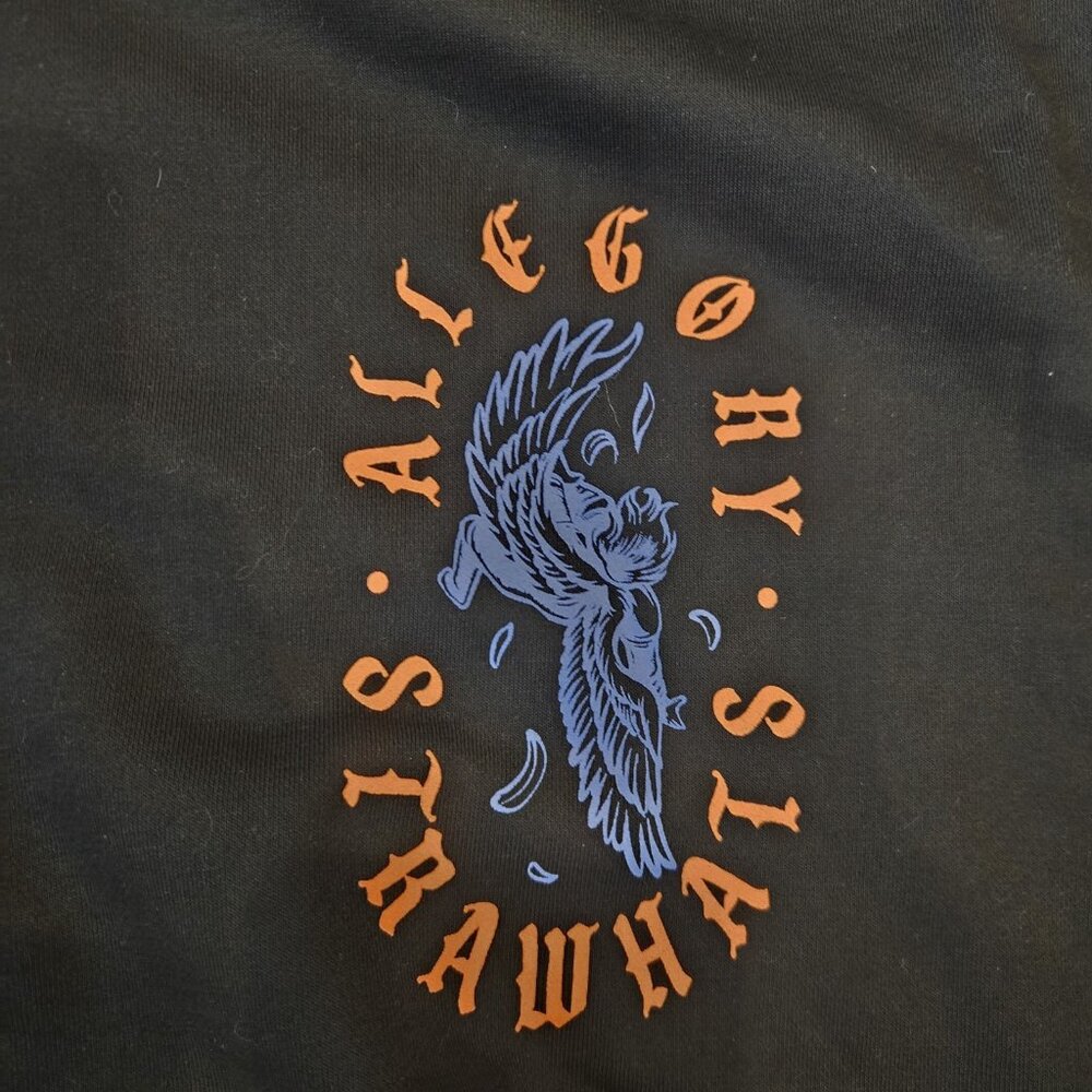 Allegory clothing Straw Hats Collection Hoodie My Promise Stands Sz Medium Goth - Picture 5 of 5